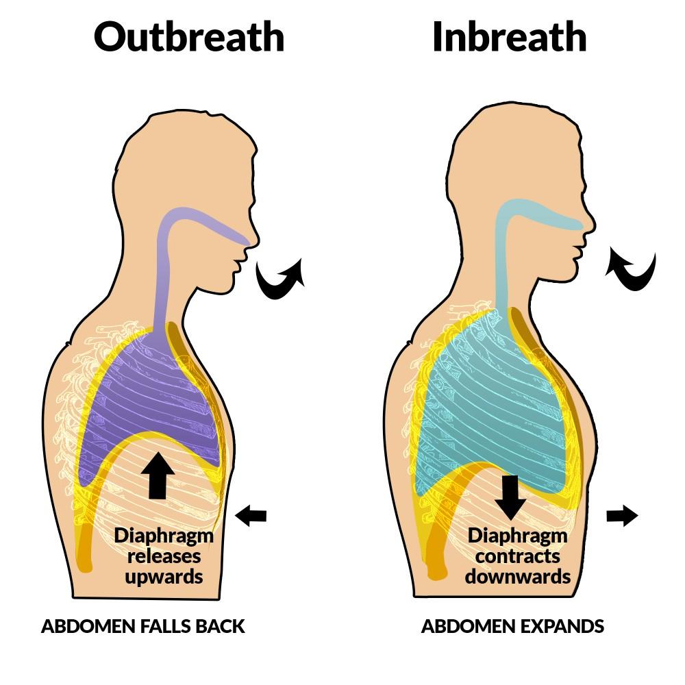 Diaphragmatic breathing:
