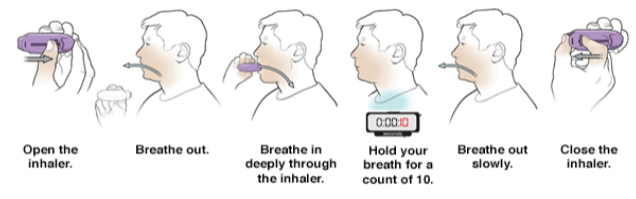 Dry powder inhaler (DPI)