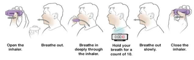 Dry powder inhaler (DPI)